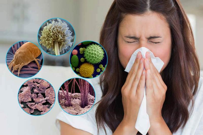 Аллергия на домашнюю пыль Аллергия на домашнюю пыль